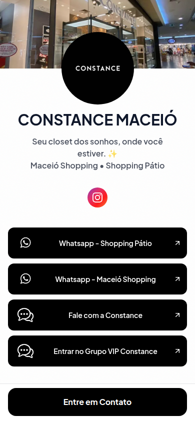 Página publicada da Constance Maceió no LinkMiner